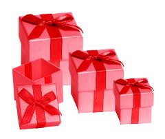 Kanu Kapers Gift Certificate - One Day Noosa Everglades Self Guided Kayak Tour